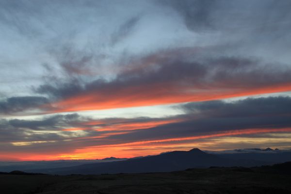 IMG_7531